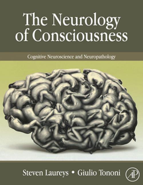 Cover of the book The Neurology of Consciousness by , Elsevier Science