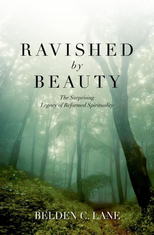 Cover of the book Ravished by Beauty by Belden C. Lane, Oxford University Press