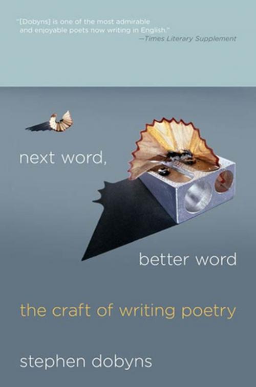 Cover of the book Next Word, Better Word by Stephen Dobyns, St. Martin's Press