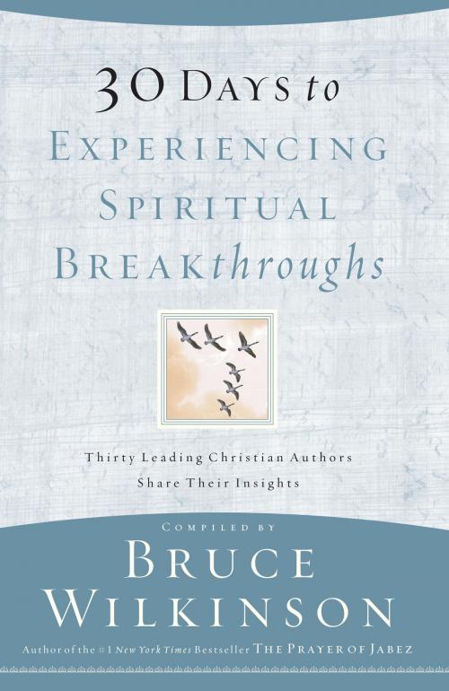 Cover of the book 30 Days to Experiencing Spiritual Breakthroughs by Bruce Wilkinson, The Crown Publishing Group