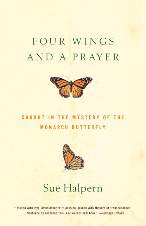 Cover of the book Four Wings and a Prayer by Sue Halpern, Knopf Doubleday Publishing Group