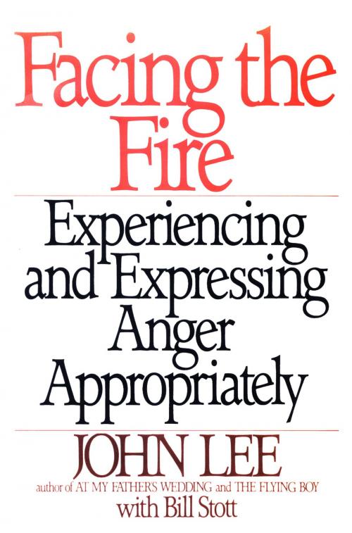 Cover of the book Facing the Fire by John Lee, William Stott, Random House Publishing Group
