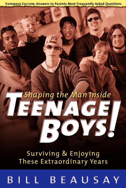 Cover of the book Teenage Boys by Bill Beausay, The Crown Publishing Group