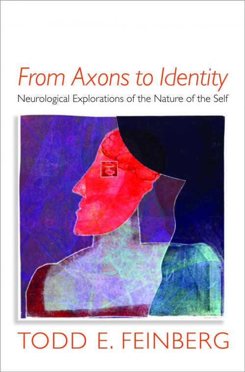 Cover of the book From Axons to Identity: Neurological Explorations of the Nature of the Self (Norton Series on Interpersonal Neurobiology) by Todd E. Feinberg, MD, W. W. Norton & Company