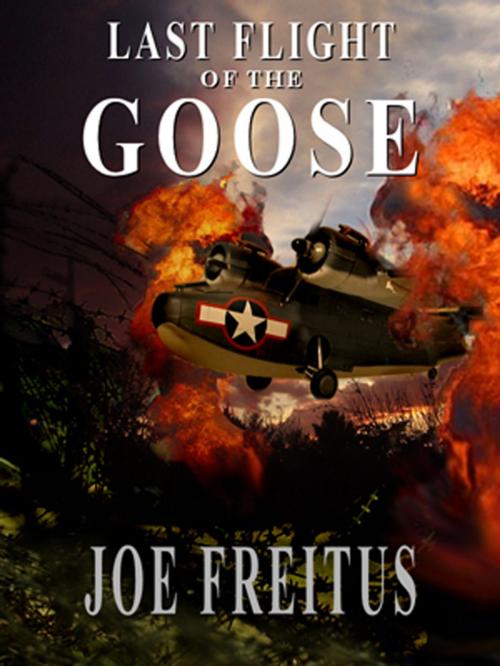Cover of the book Last Flight of the Goose by Joe Freitus, SynergEbooks