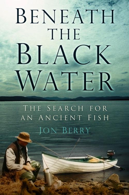 Cover of the book Beneath the Black Water by Jon Berry, Chris Yates, The History Press