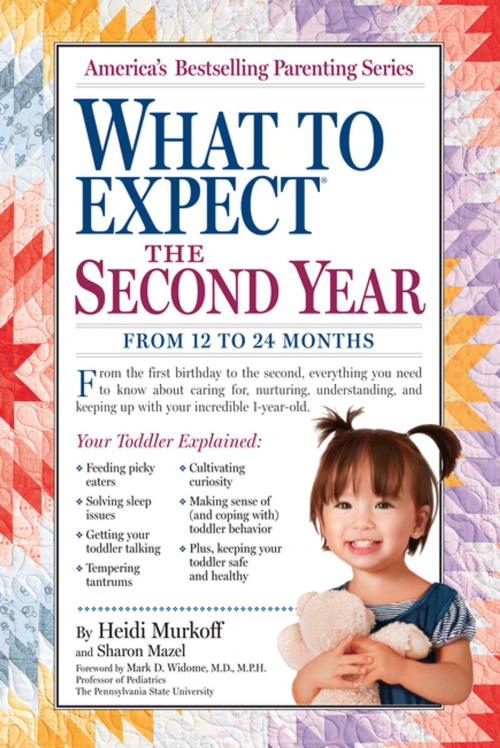 Cover of the book What to Expect the Second Year by Heidi Murkoff, Workman Publishing Company