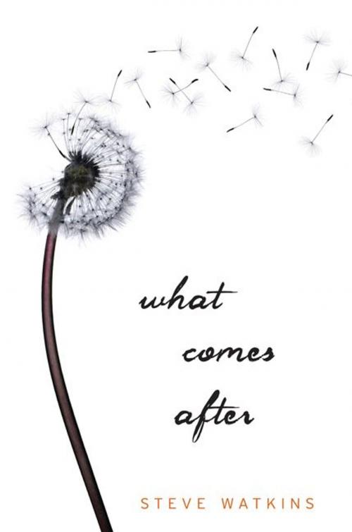 Cover of the book What Comes After by Steve Watkins, Candlewick Press