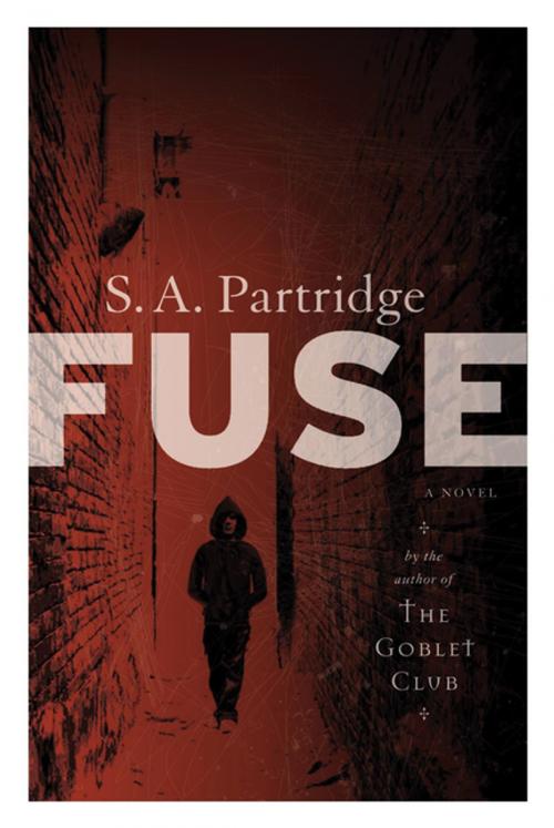 Cover of the book Fuse by Sally Partridge, Human & Rousseau