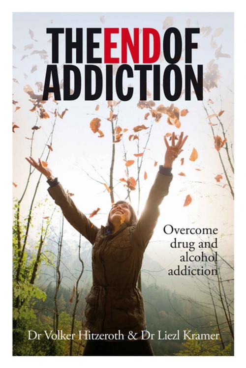 Cover of the book The End of addiction by Dr Volker Hitzeroth, Human & Rousseau