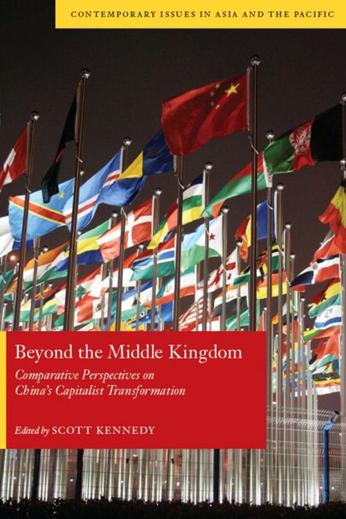 Cover of the book Beyond the Middle Kingdom by , Stanford University Press
