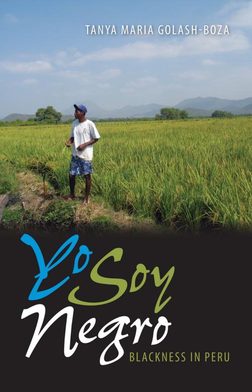 Cover of the book Yo Soy Negro by Tanya Maria Golash-Boza, University Press of Florida