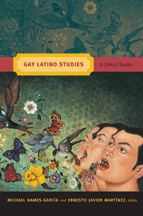 Cover of the book Gay Latino Studies by Tomás Almaguer, Luz Martínez, Daniel Contreras, Catriona Rueda Esquibel, Lionel Cantú, María Lugones, Lawrence La Fountain-Stokes, Duke University Press