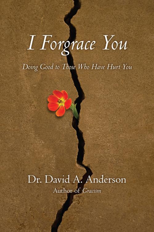Cover of the book I Forgrace You by Dr. David A. Anderson, InterVarsity Press