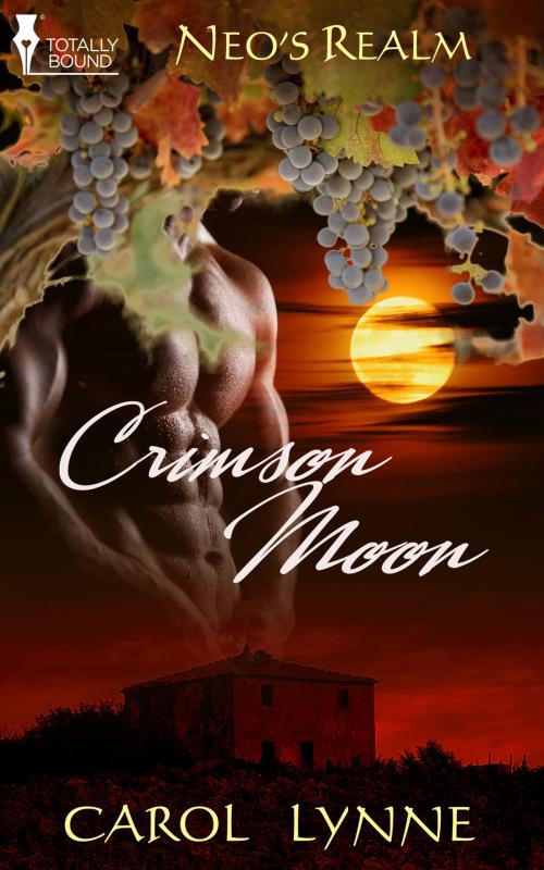 Cover of the book Crimson Moon by Carol Lynne, Totally Entwined Group Ltd