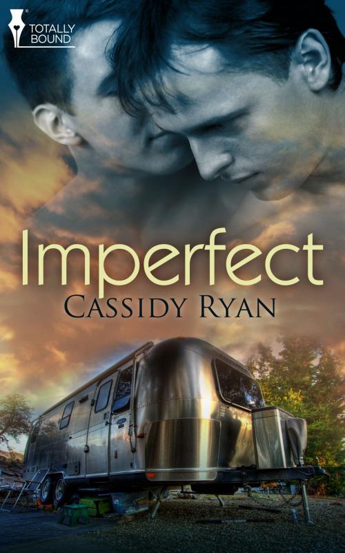 Cover of the book Imperfect by Cassidy Ryan, Totally Entwined Group Ltd