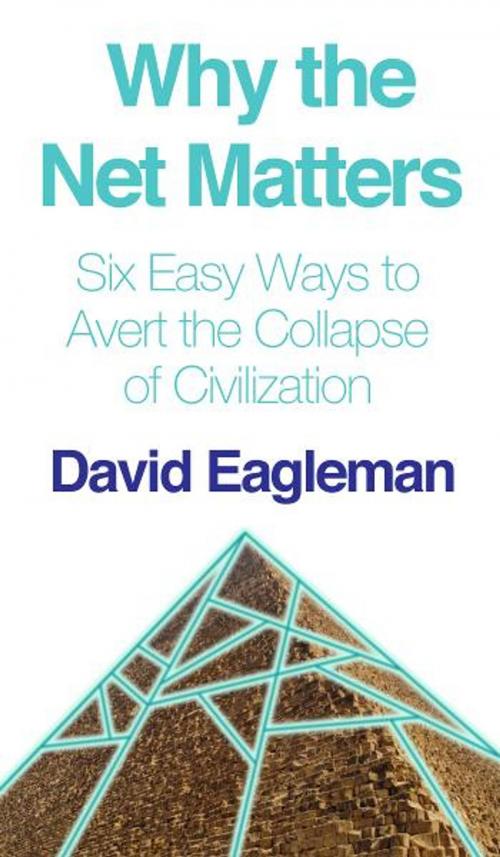 Cover of the book Why the Net Matters by David Eagleman, Canongate Books