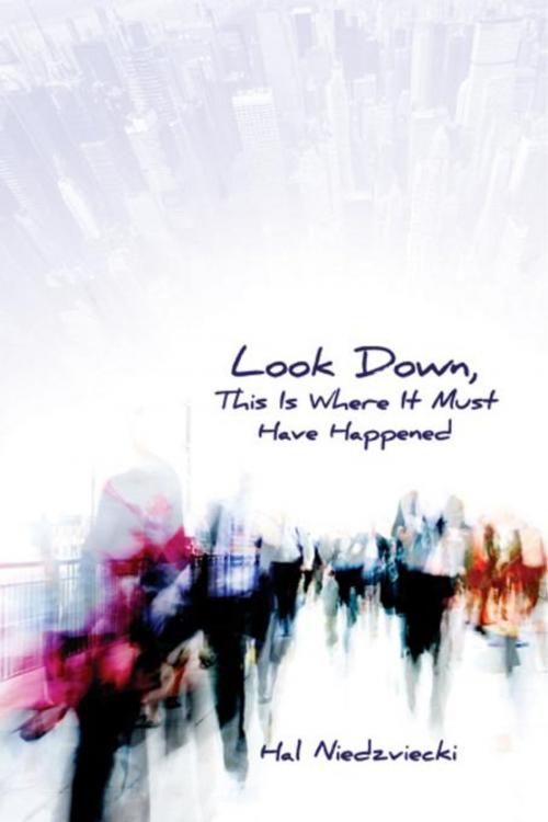 Cover of the book Look Down, This is Where It Must Have Happened by Hal Niedzviecki, City Lights Publishers
