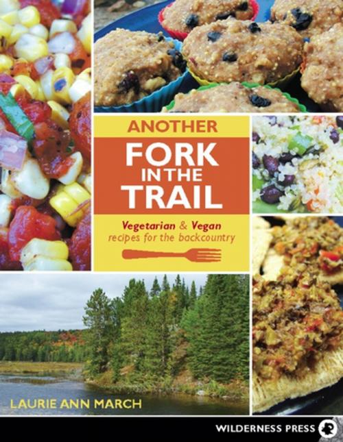 Cover of the book Another Fork in the Trail by Laurie Ann March, Wilderness Press