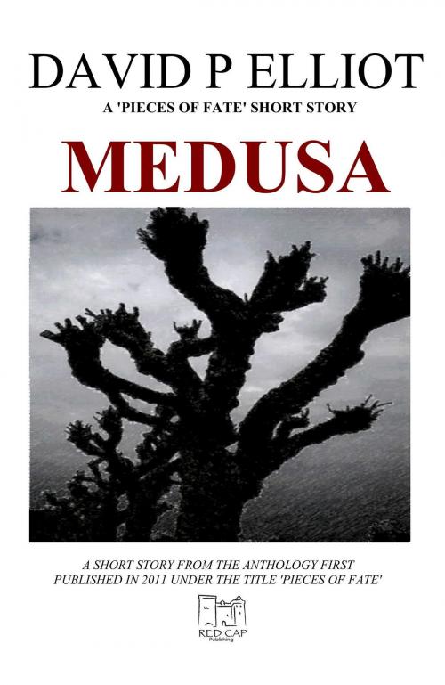 Cover of the book Medusa by David P Elliot, Red Cap Publishing