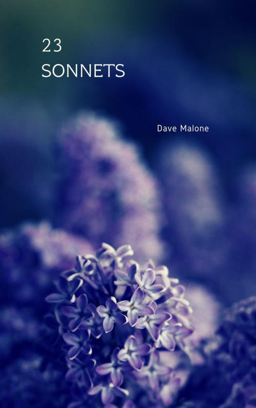 Cover of the book 23 Sonnets by Dave Malone, Dave Malone