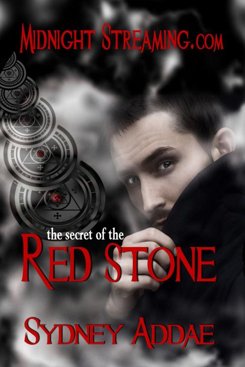 Cover of the book The Secret of the Red Stone by Sydney Addae, Sitting Bull Publishing