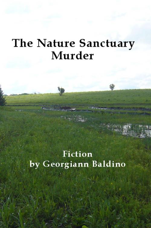 Cover of the book The Nature Sanctuary Murder by Georgiann Baldino, Georgiann Baldino
