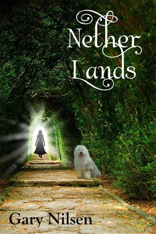 Cover of the book Nether Lands by Gary Nilsen, Gary Nilsen
