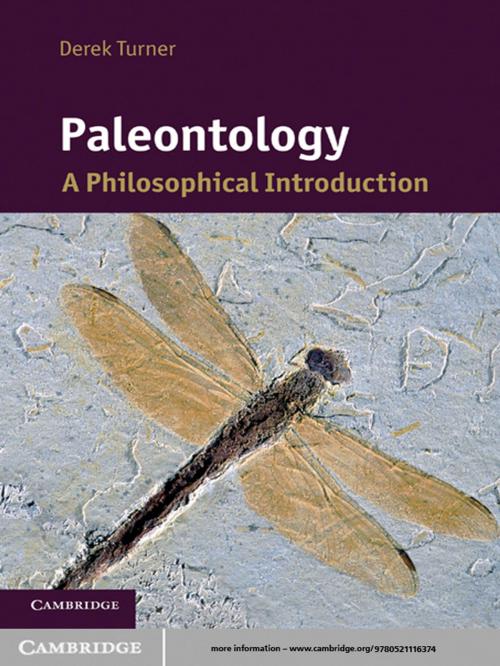 Cover of the book Paleontology by Derek Turner, Cambridge University Press