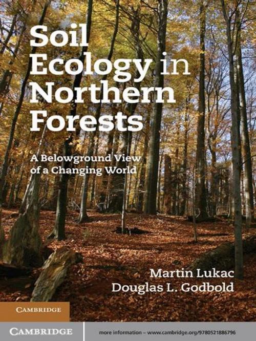 Cover of the book Soil Ecology in Northern Forests by Martin Lukac, Douglas L. Godbold, Cambridge University Press
