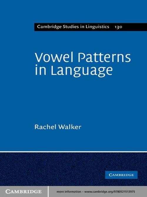 Cover of the book Vowel Patterns in Language by Rachel Walker, Cambridge University Press