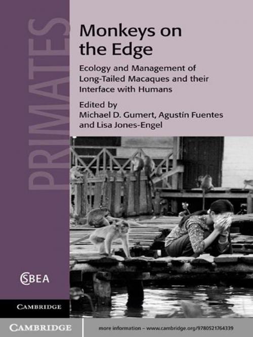 Cover of the book Monkeys on the Edge by Agustín Fuentes, Cambridge University Press