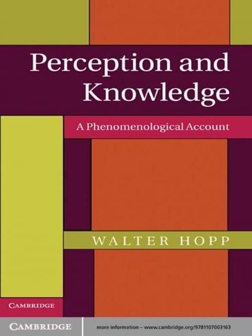 Cover of the book Perception and Knowledge by Walter Hopp, Cambridge University Press