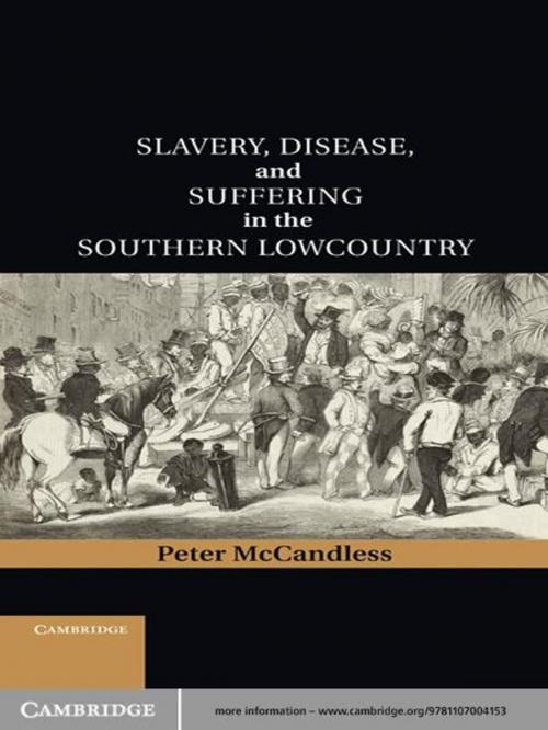 Cover of the book Slavery, Disease, and Suffering in the Southern Lowcountry by Peter McCandless, Cambridge University Press