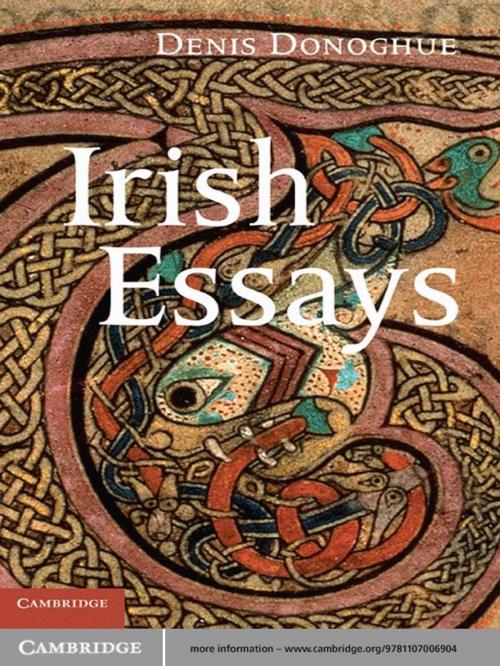 Cover of the book Irish Essays by Denis Donoghue, Cambridge University Press