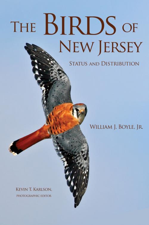Cover of the book The Birds of New Jersey by William J. Boyle, Jr., Princeton University Press