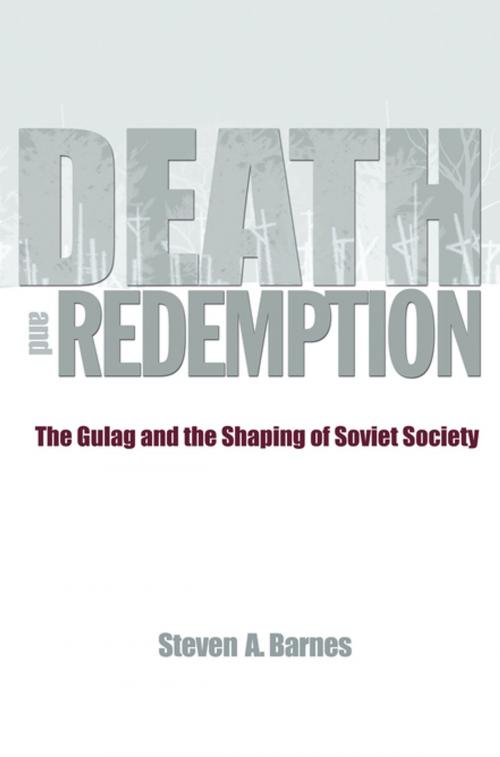 Cover of the book Death and Redemption by Steven A. Barnes, Princeton University Press