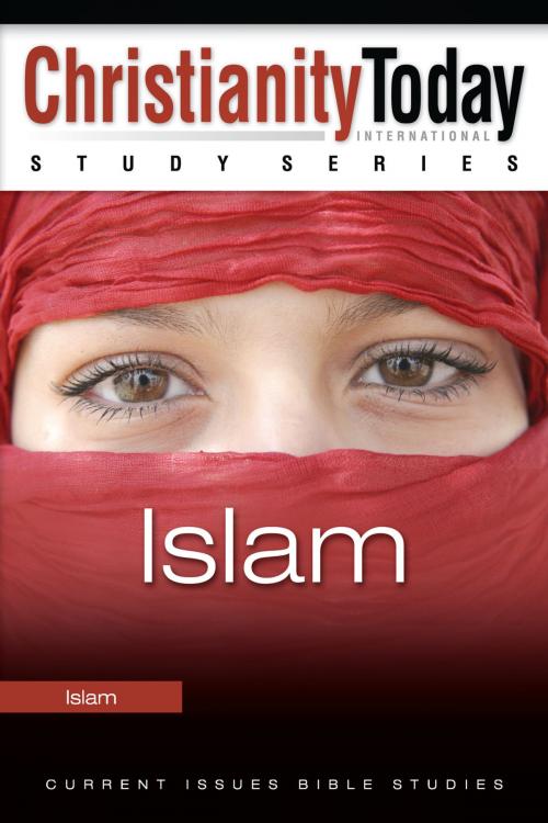 Cover of the book Islam by James A. Beverley, Thomas Nelson