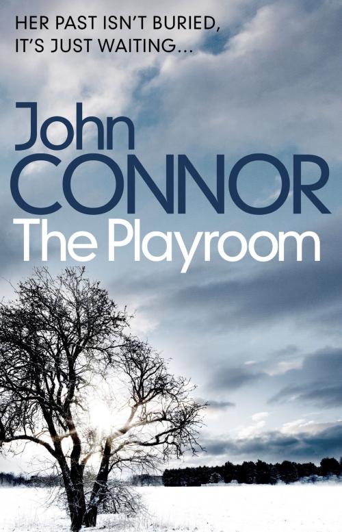 Cover of the book The Playroom by John Connor, Orion Publishing Group