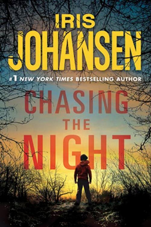 Cover of the book Chasing the Night by Iris Johansen, St. Martin's Press