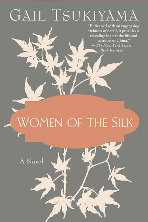 Cover of the book Women of the Silk by Gail Tsukiyama, St. Martin's Press