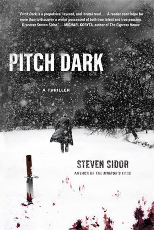 Cover of the book Pitch Dark by Steven Sidor, St. Martin's Press