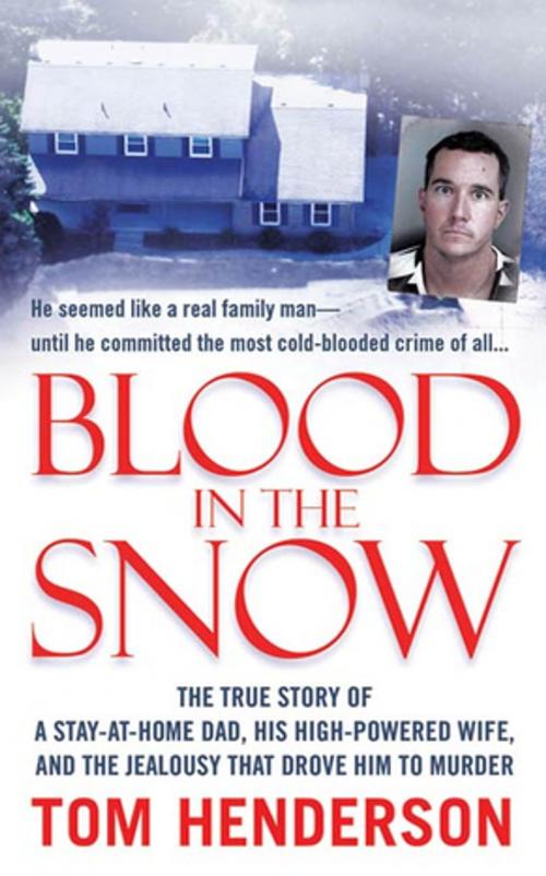 Cover of the book Blood in the Snow by Tom Henderson, St. Martin's Press