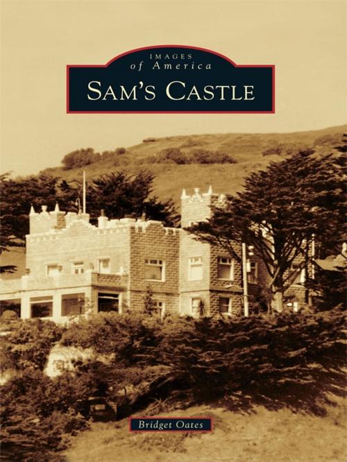 Cover of the book Sam's Castle by Bridget Oates, Arcadia Publishing Inc.