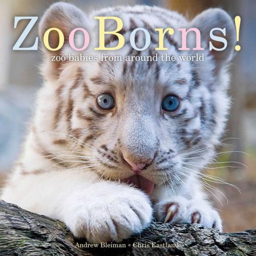 Cover of the book ZooBorns! by Andrew Bleiman, Chris Eastland, Beach Lane Books