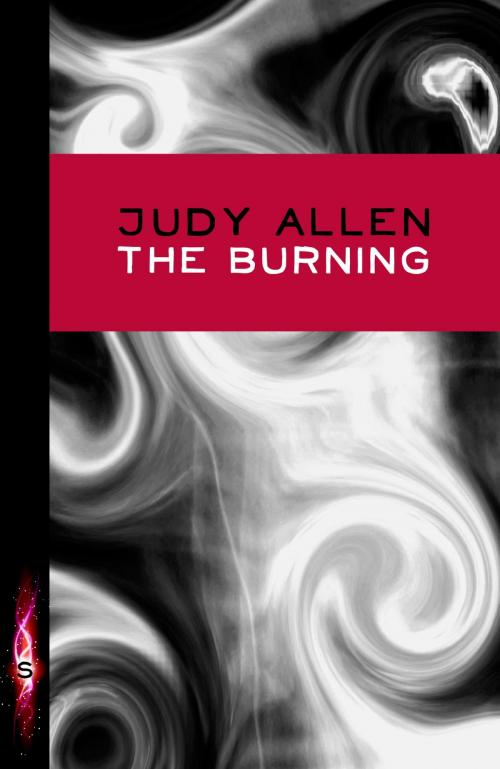 Cover of the book The Burning by Judy Allen, Hachette Children's