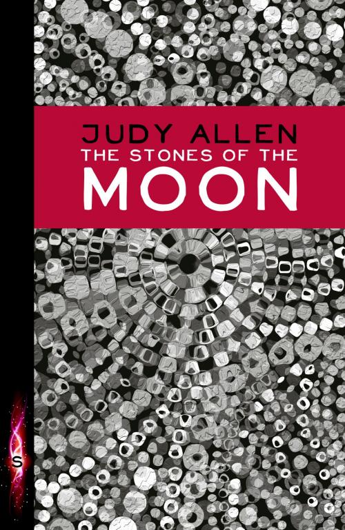 Cover of the book The Stones Of The Moon by Judy Allen, Hachette Children's