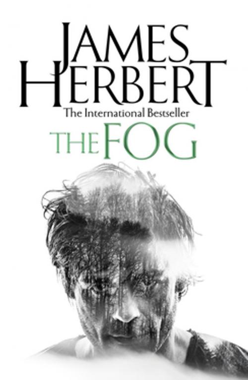 Cover of the book The Fog by James Herbert, Pan Macmillan