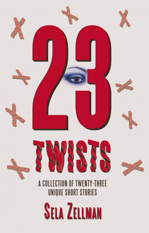 Cover of the book Twenty-Three Twists by Sela Zellman, iUniverse