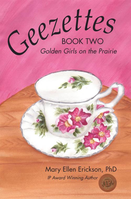 Cover of the book Geezettes Book Two by Mary Ellen Erickson PhD, iUniverse